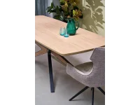 Tool K573 beež pilt 14