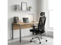Töötool Ergonomic RUFINO pilt 6